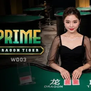 Prime Dragon Tiger WD03